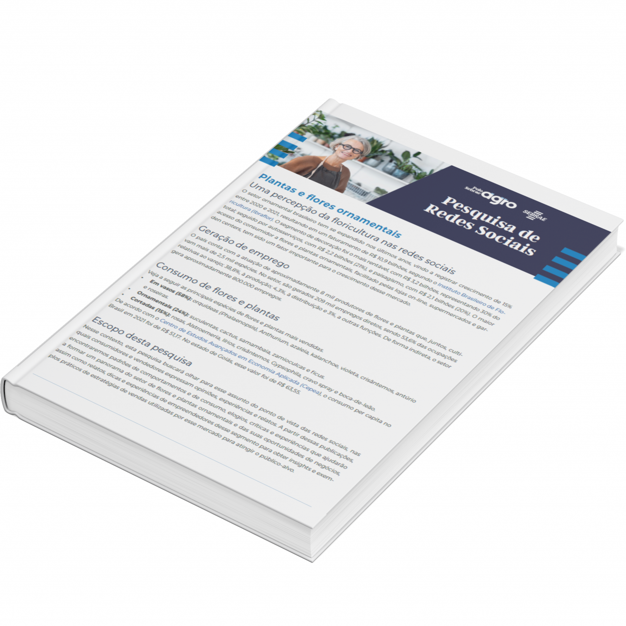 Sebrae/PR | Publicações | Design sem nome 31