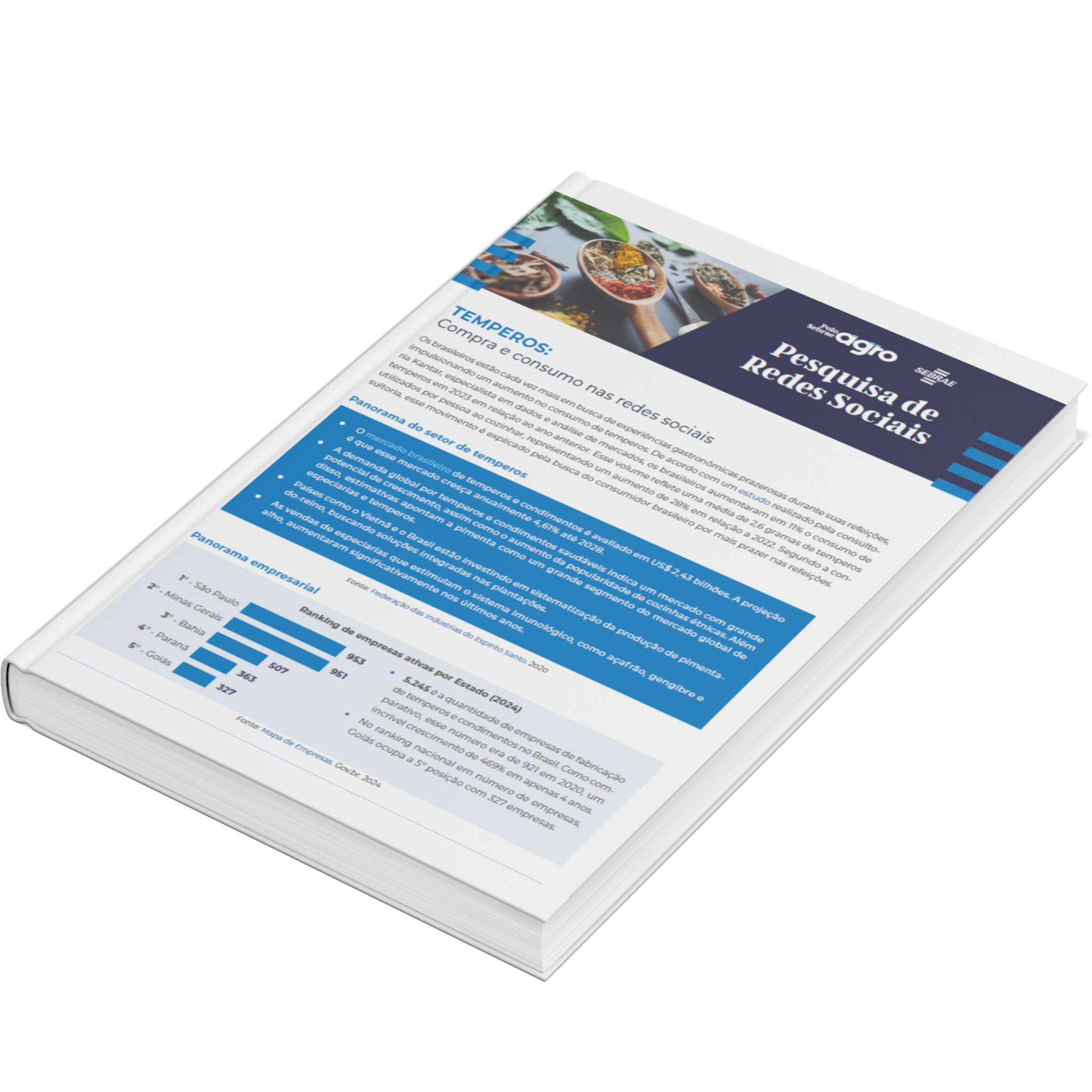 Sebrae/PR | Publicações | Design sem nome 32