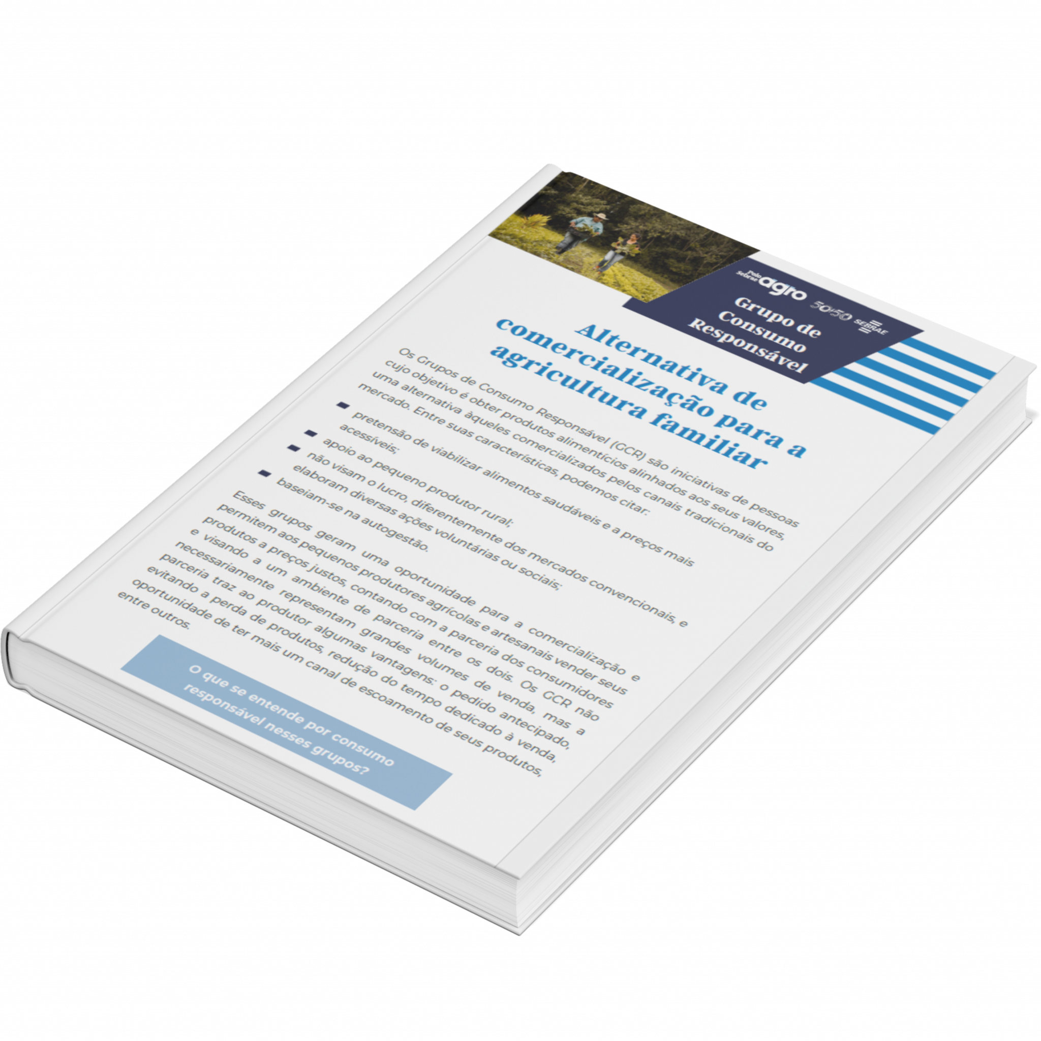 Sebrae/PR | Publicações | Design sem nome 34