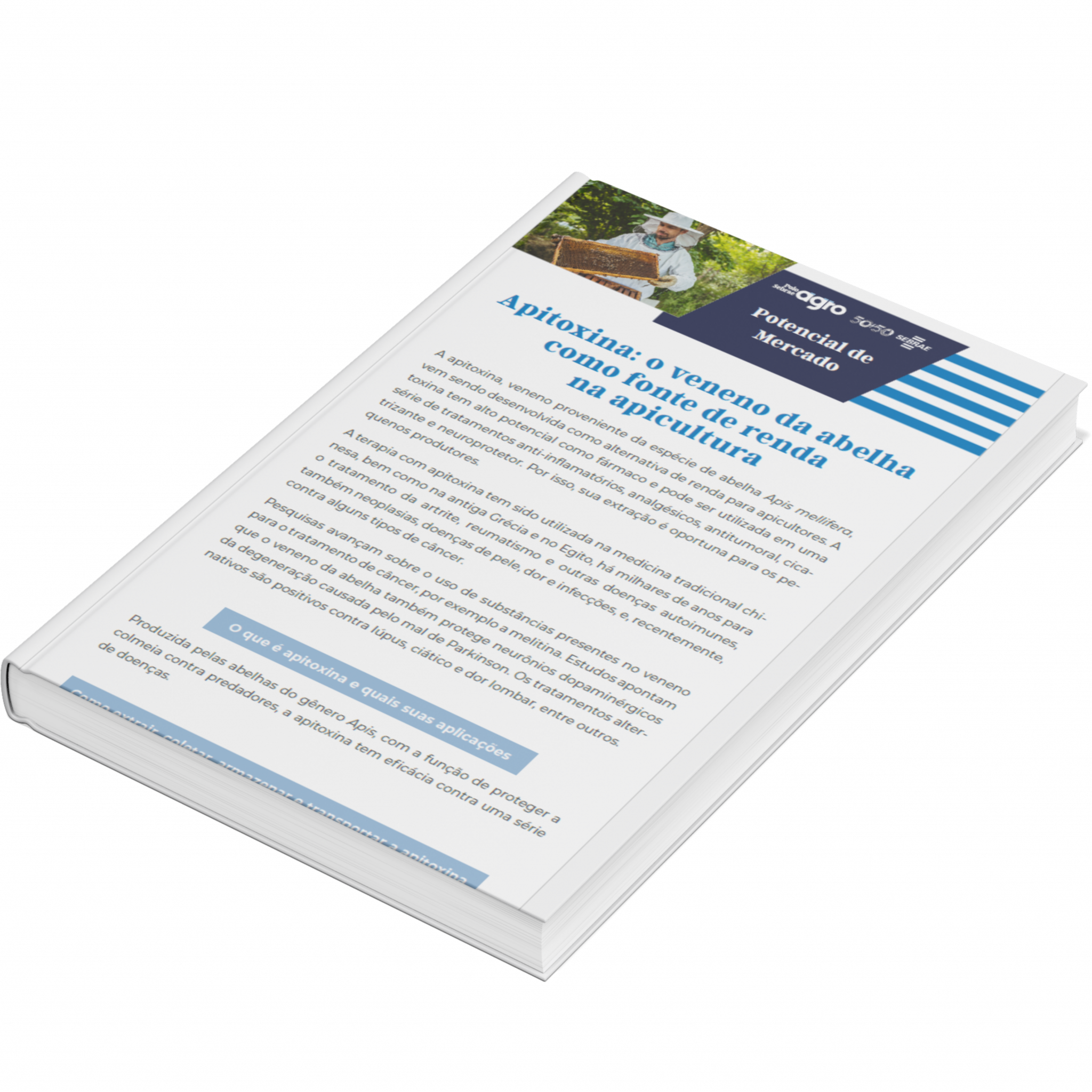 Sebrae/PR | Publicações | Design sem nome 35