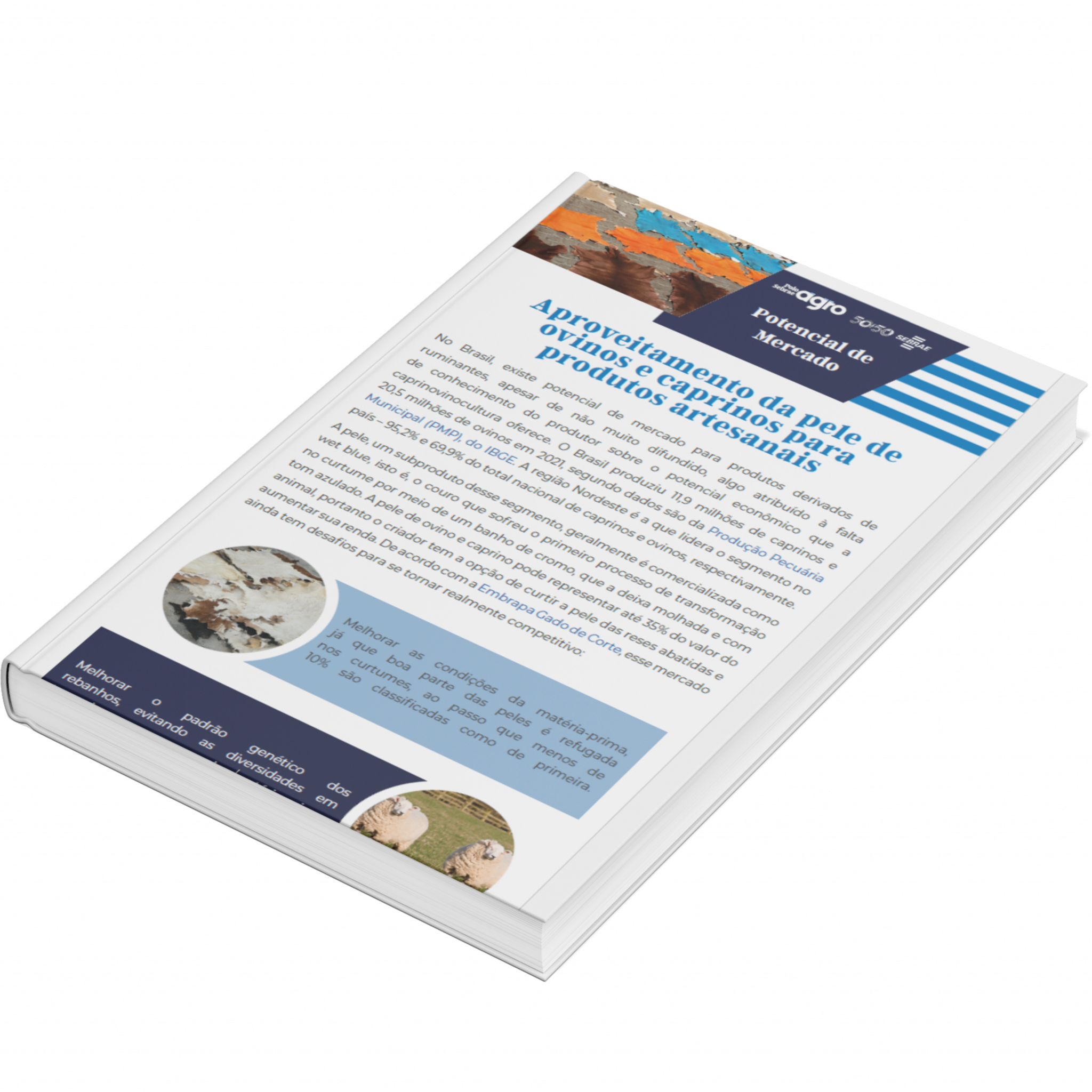 Sebrae/PR | Publicações | Design sem nome 37