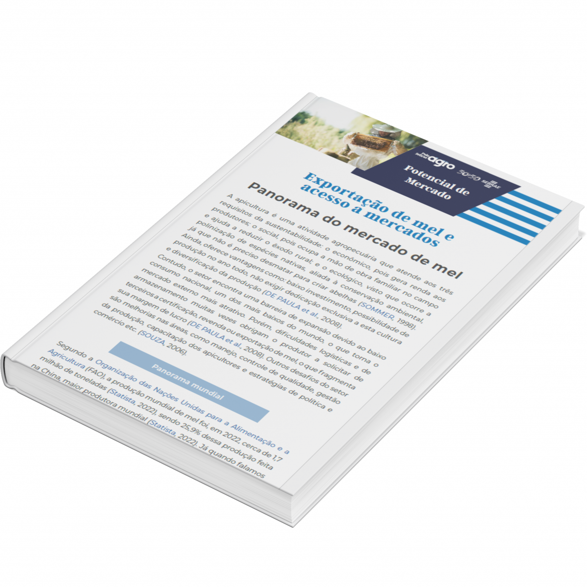 Sebrae/PR | Publicações | Design sem nome 42