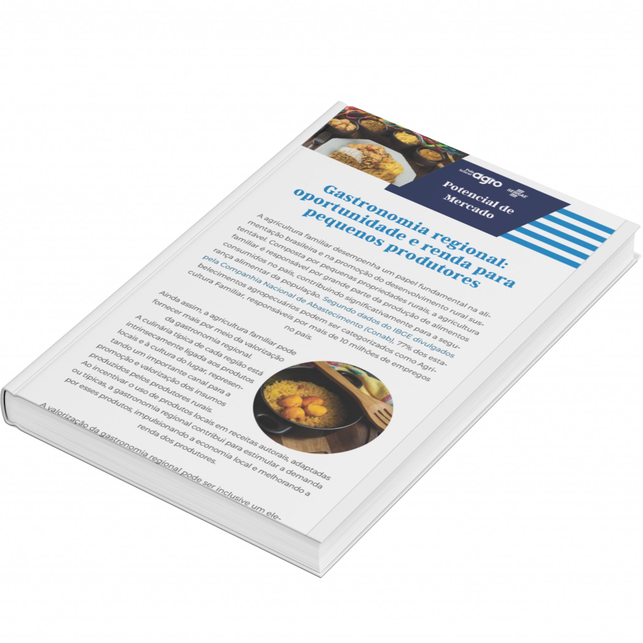 Sebrae/PR | Publicações | Design sem nome 43