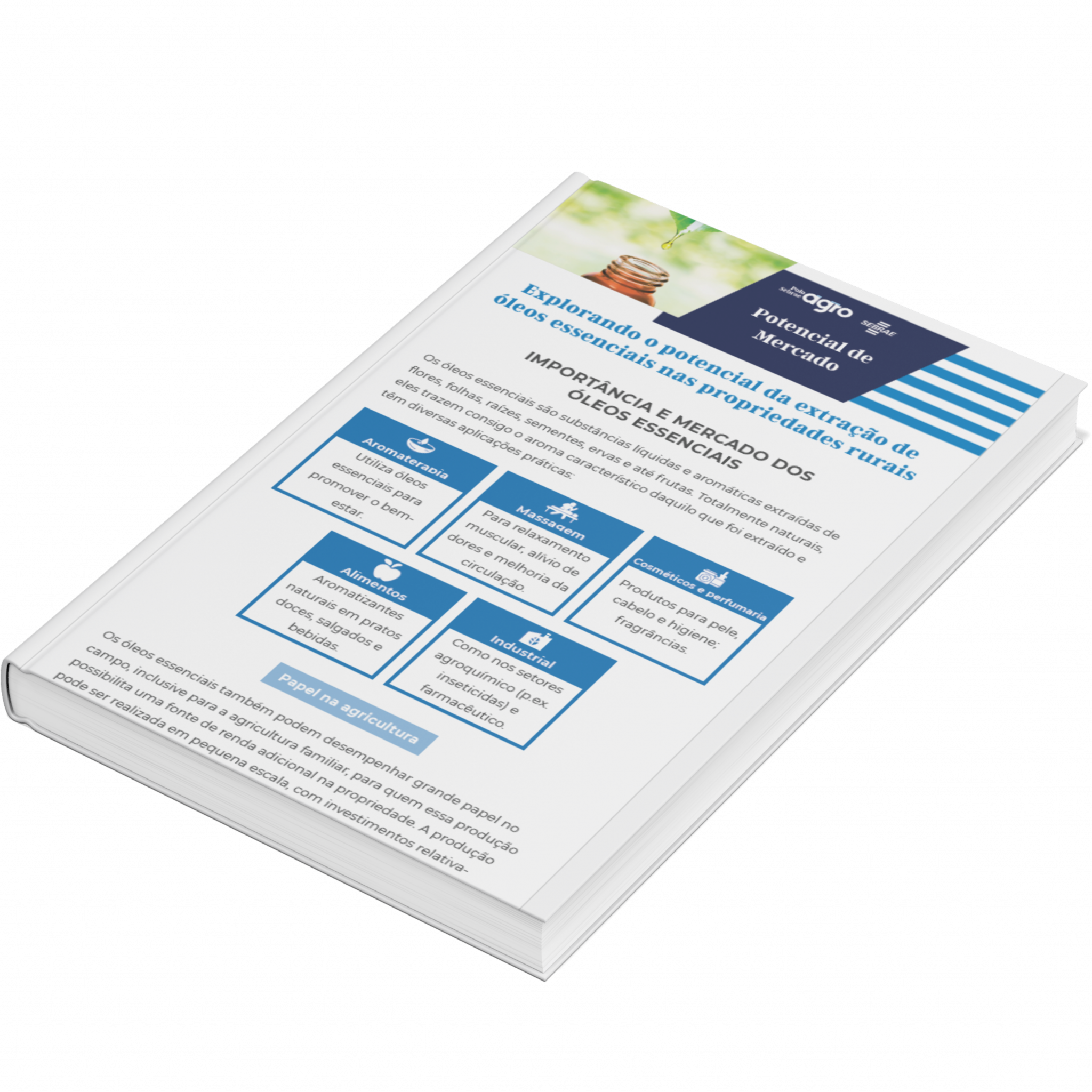 Sebrae/PR | Publicações | Design sem nome 44