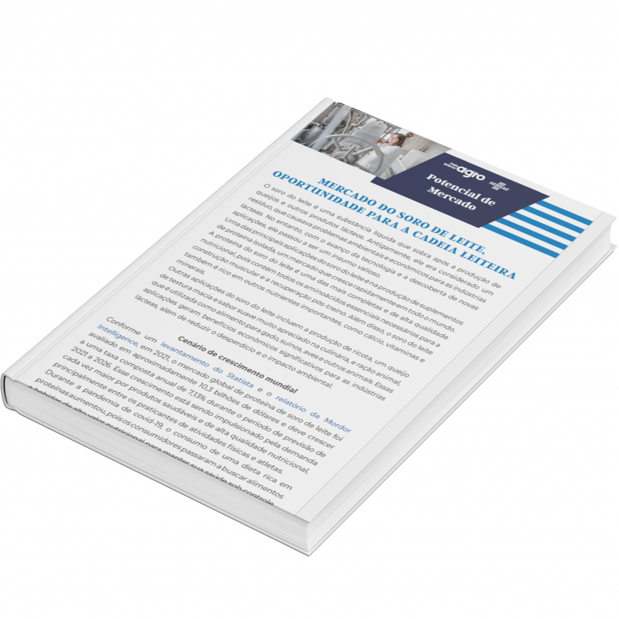 Sebrae/PR | Publicações | Design sem nome 45