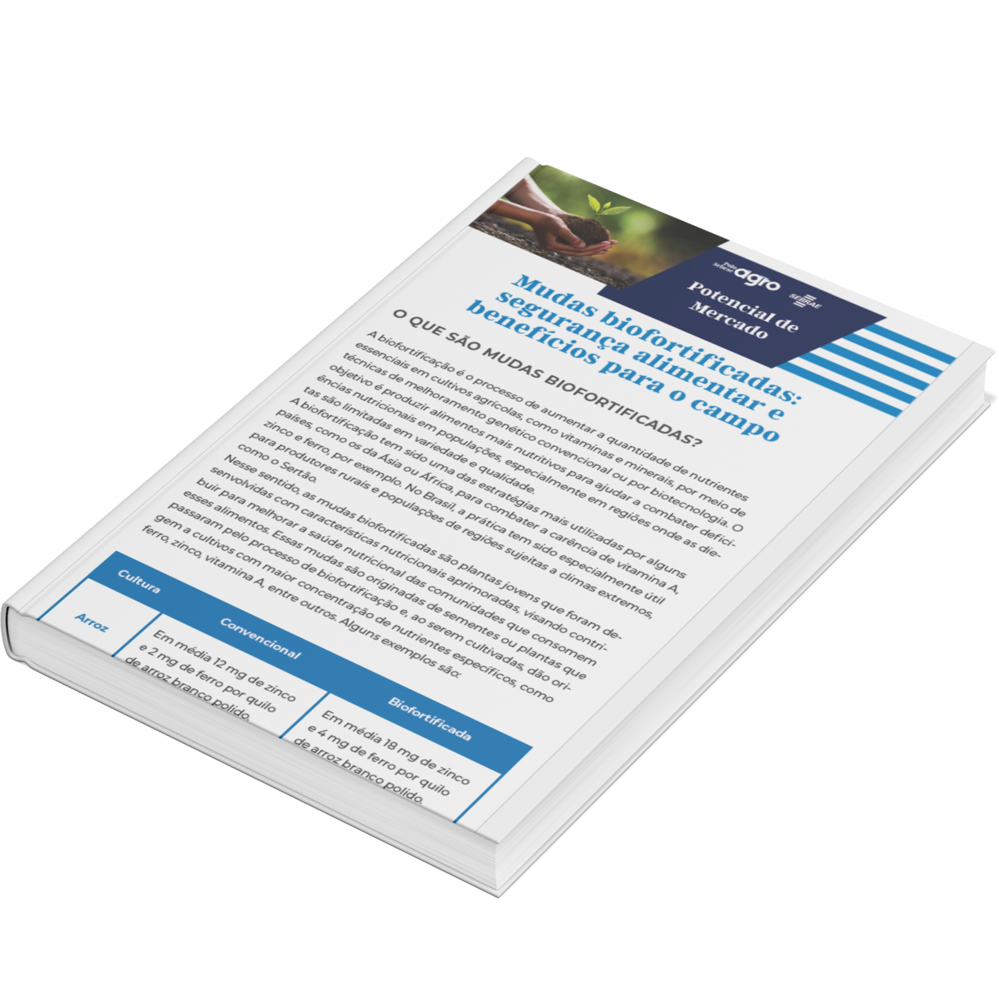 Sebrae/PR | Publicações | Design sem nome 46