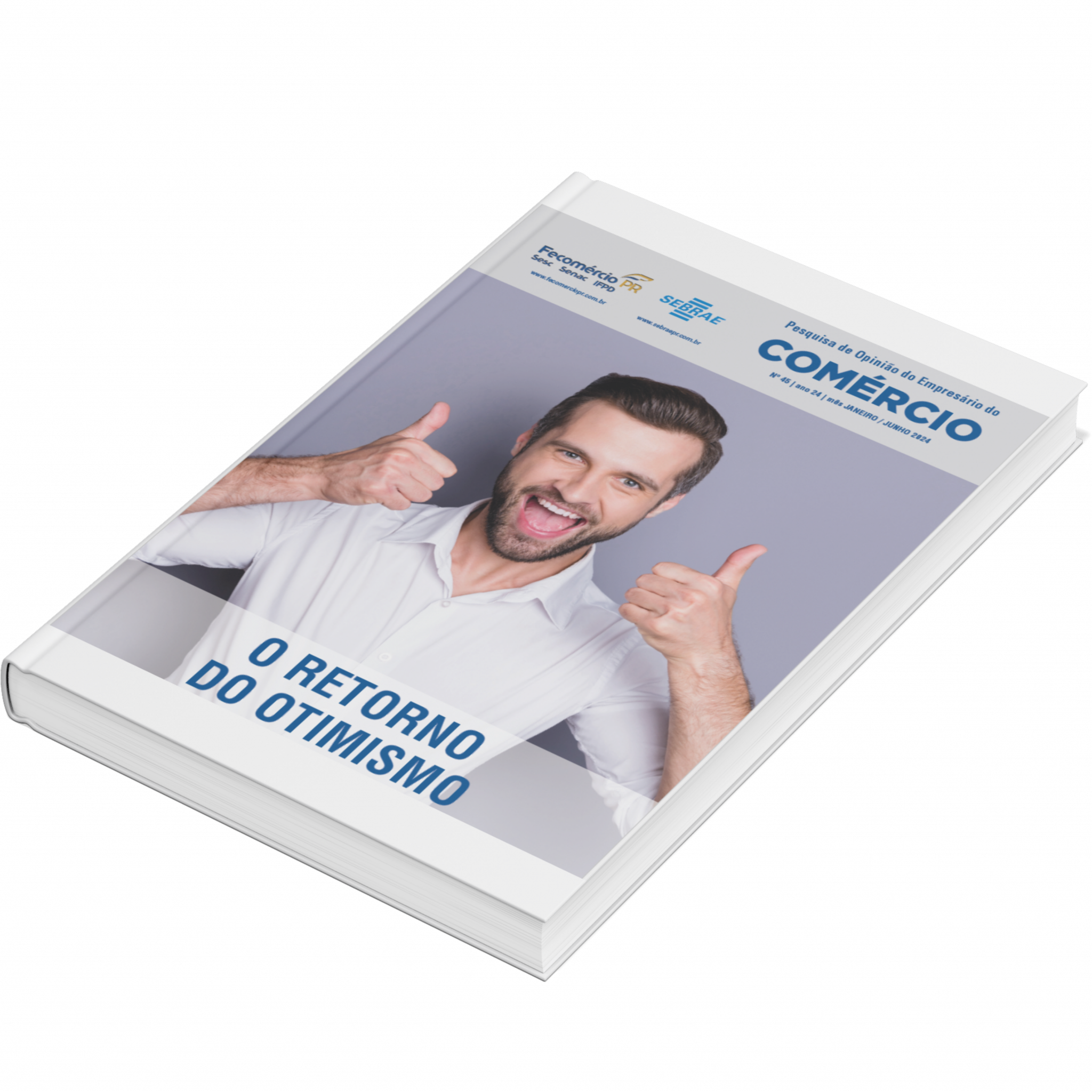 Sebrae/PR | Publicações | Design sem nome 51