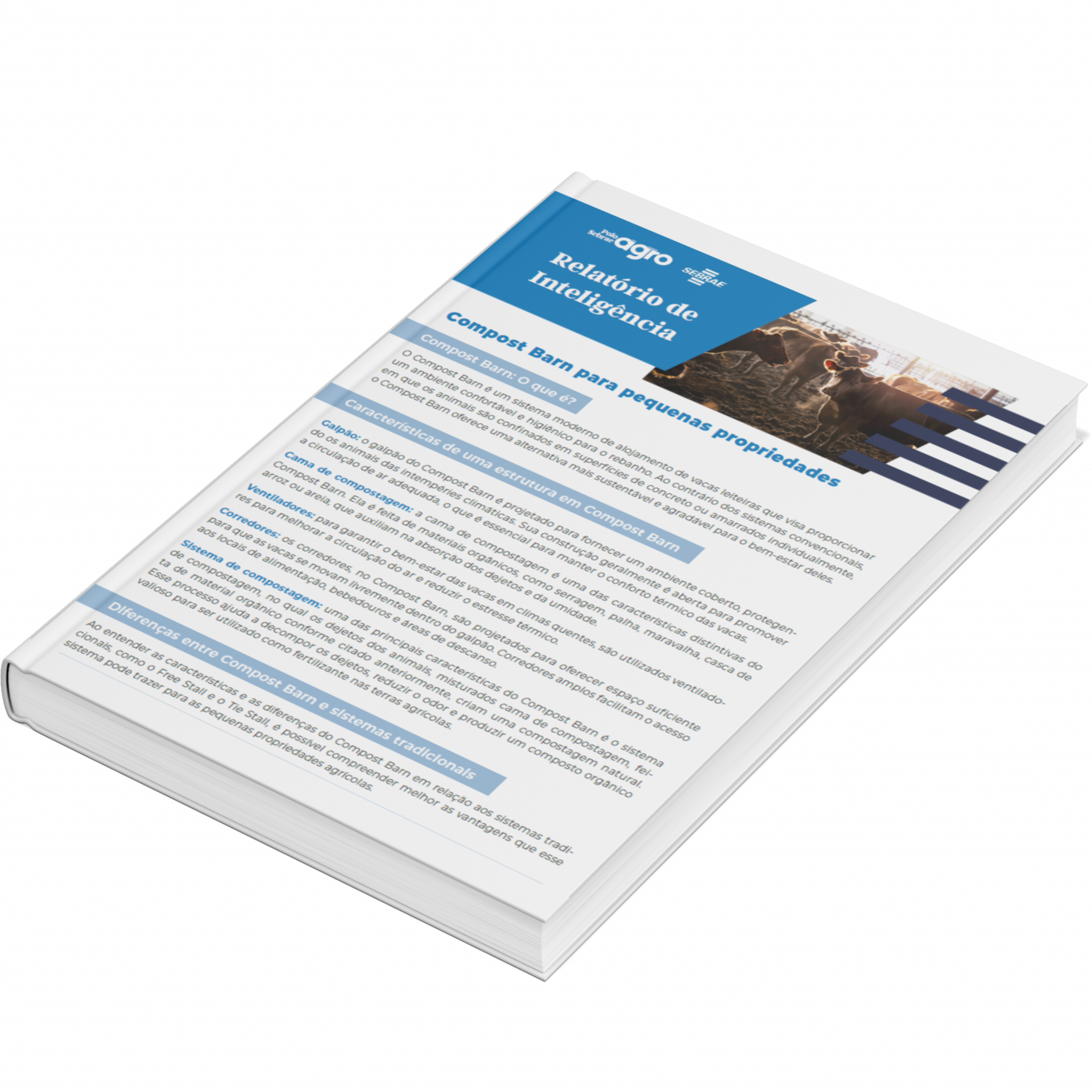 Sebrae/PR | Publicações | Design sem nome 7