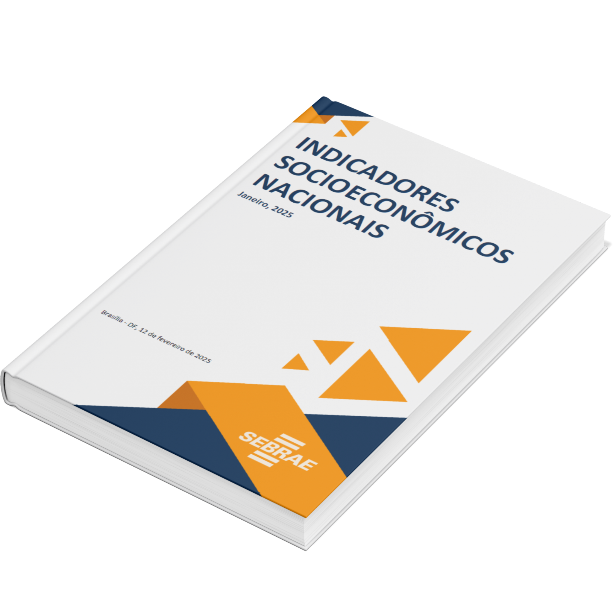 Sebrae/PR | Publicações | Design sem nome 1