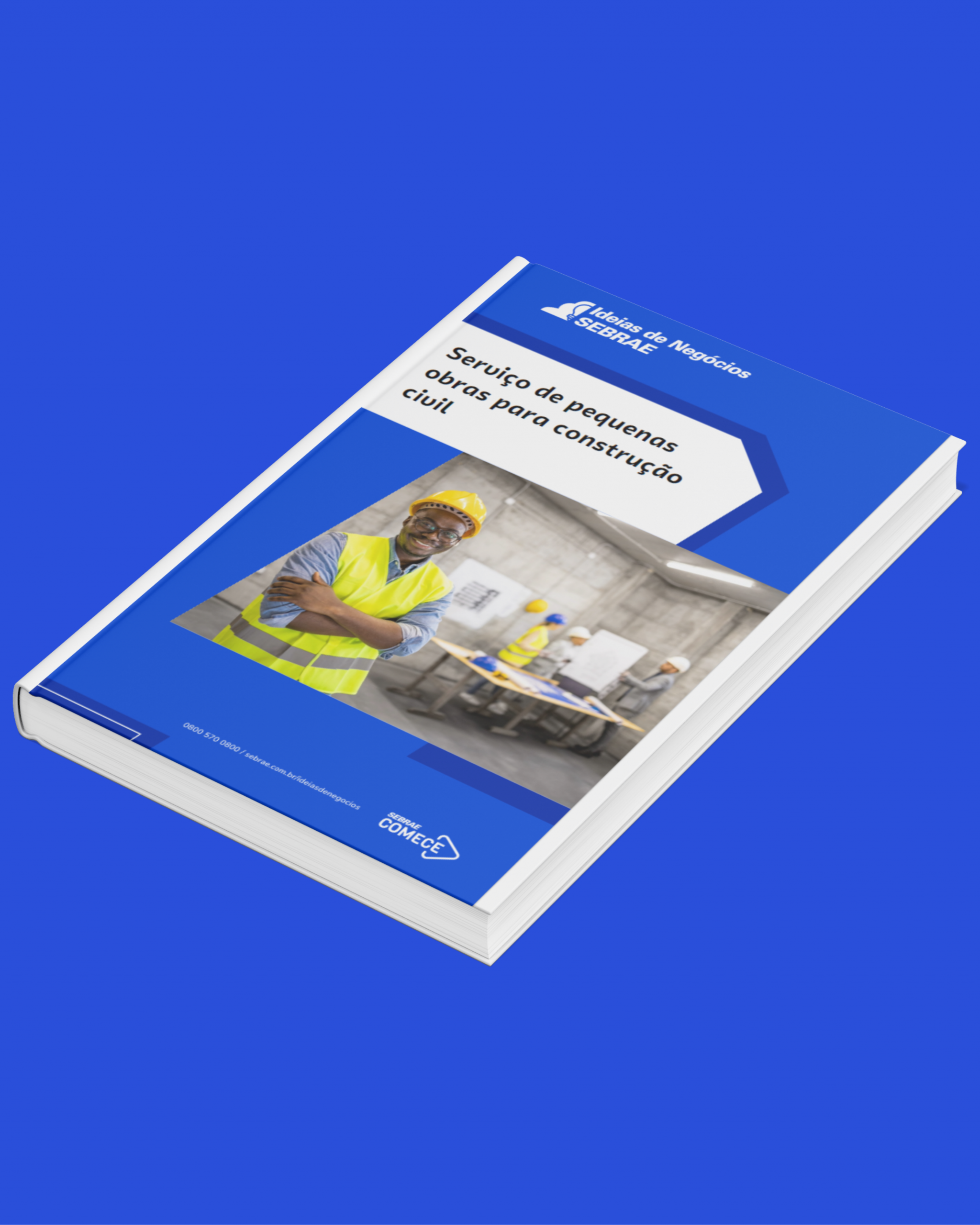 Sebrae/PR | Publicações | Design sem nome 3