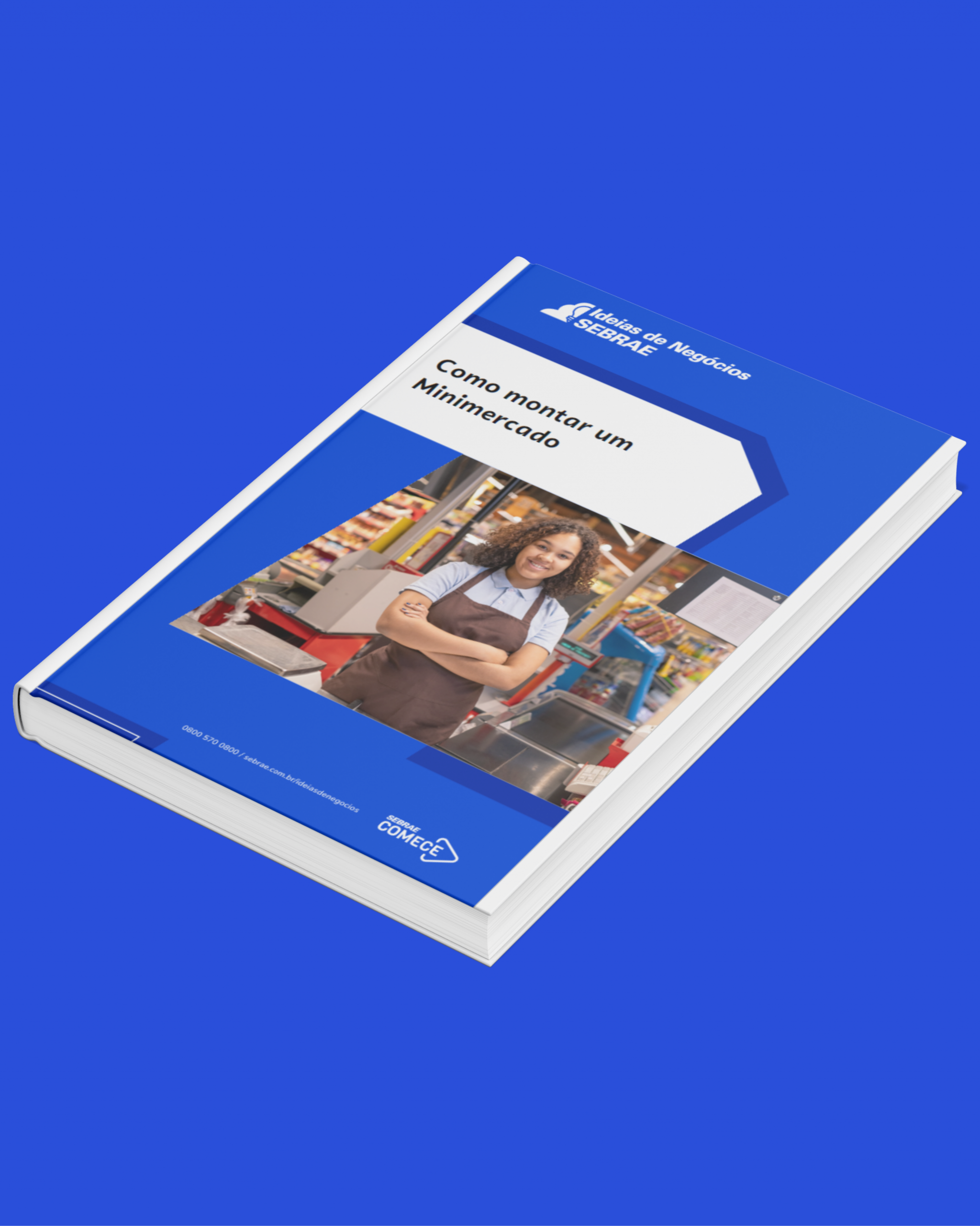 Sebrae/PR | Publicações | Design sem nome 4
