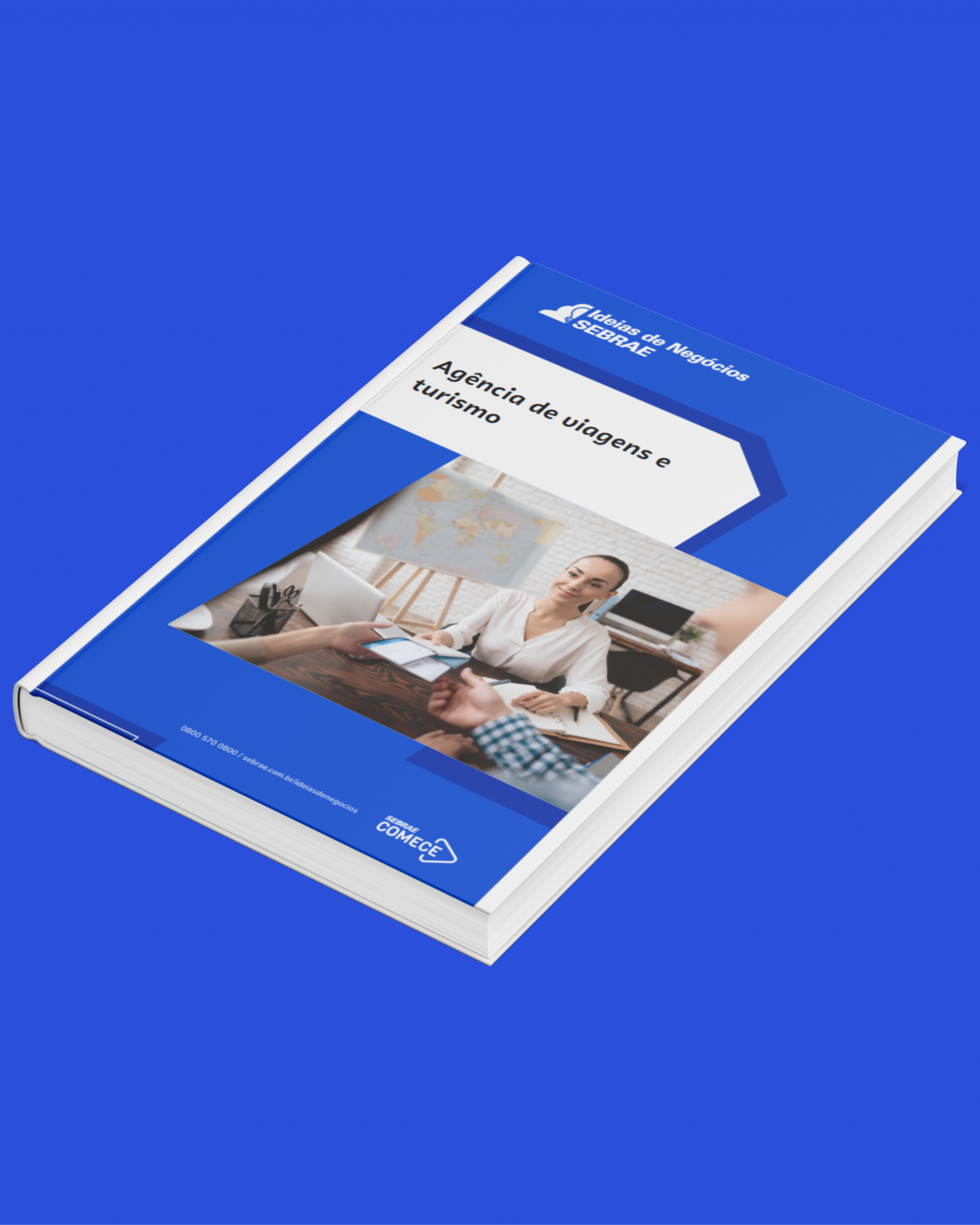 Sebrae/PR | Publicações | Design sem nome 5