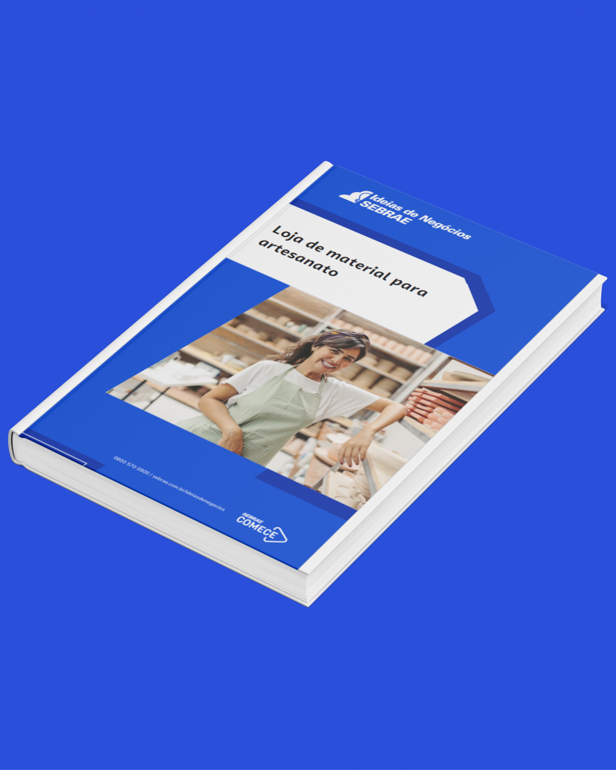 Sebrae/PR | Publicações | Design sem nome 6