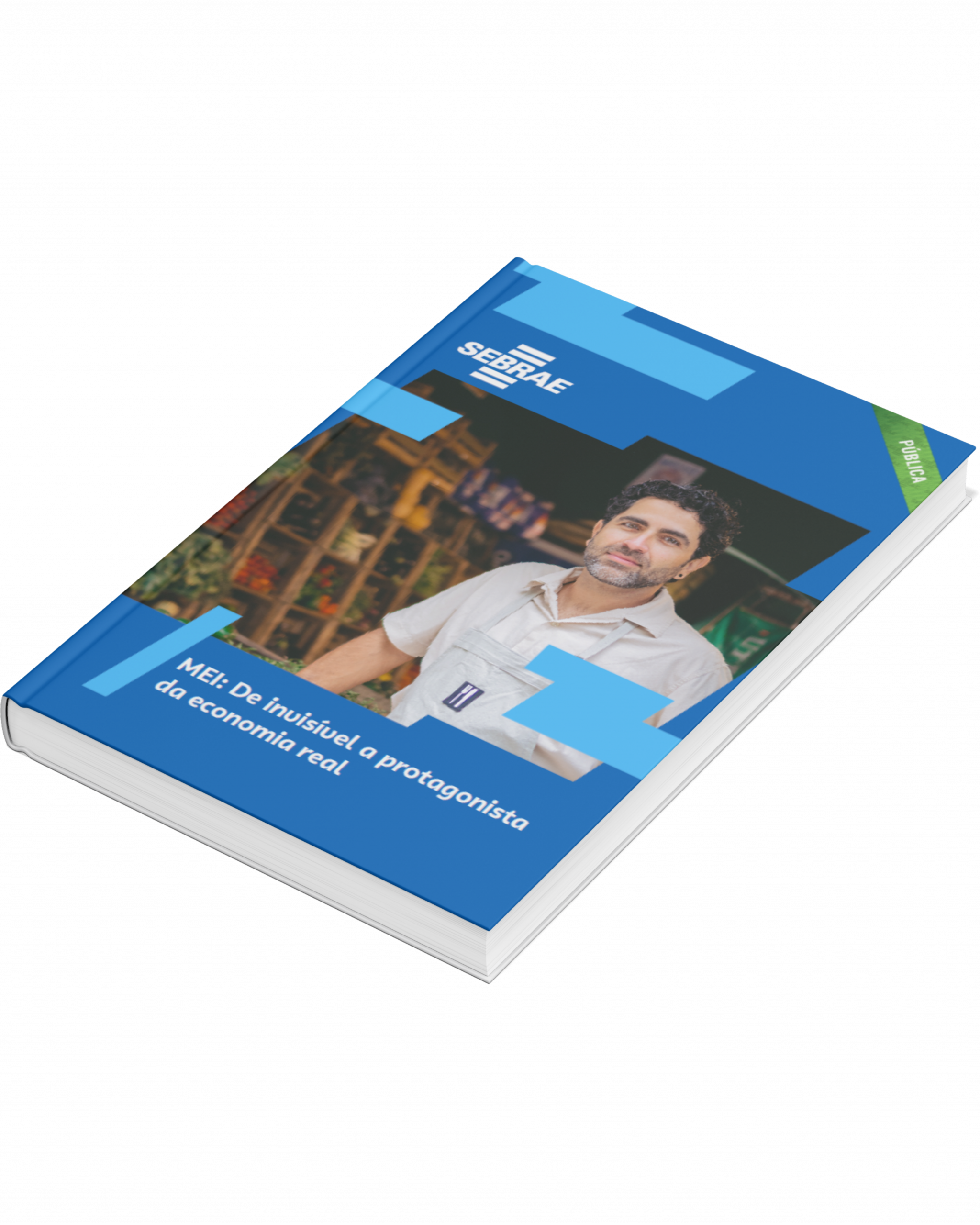 Sebrae/PR | Publicações | capa 15 anos MEI 1