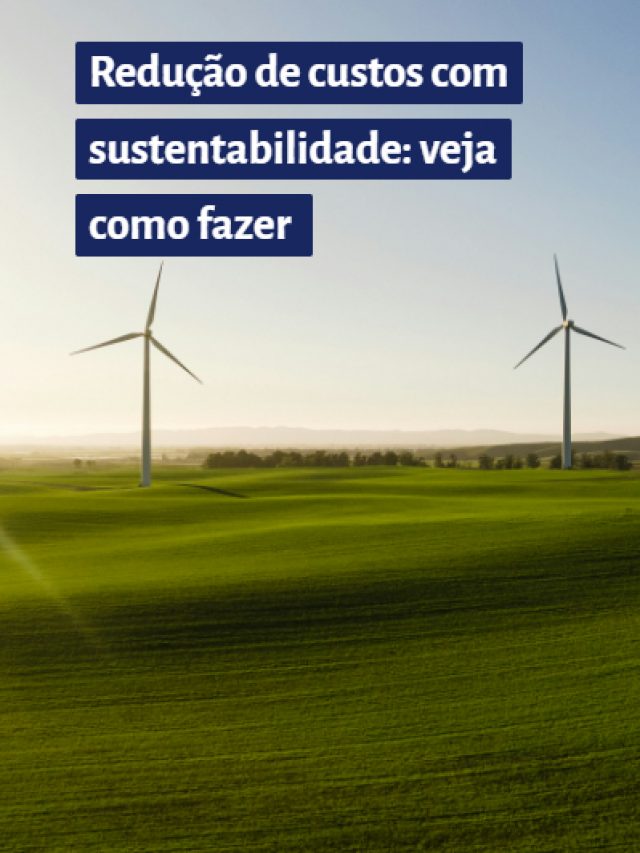 Redução de custos com sustentabilidade: veja como fazer