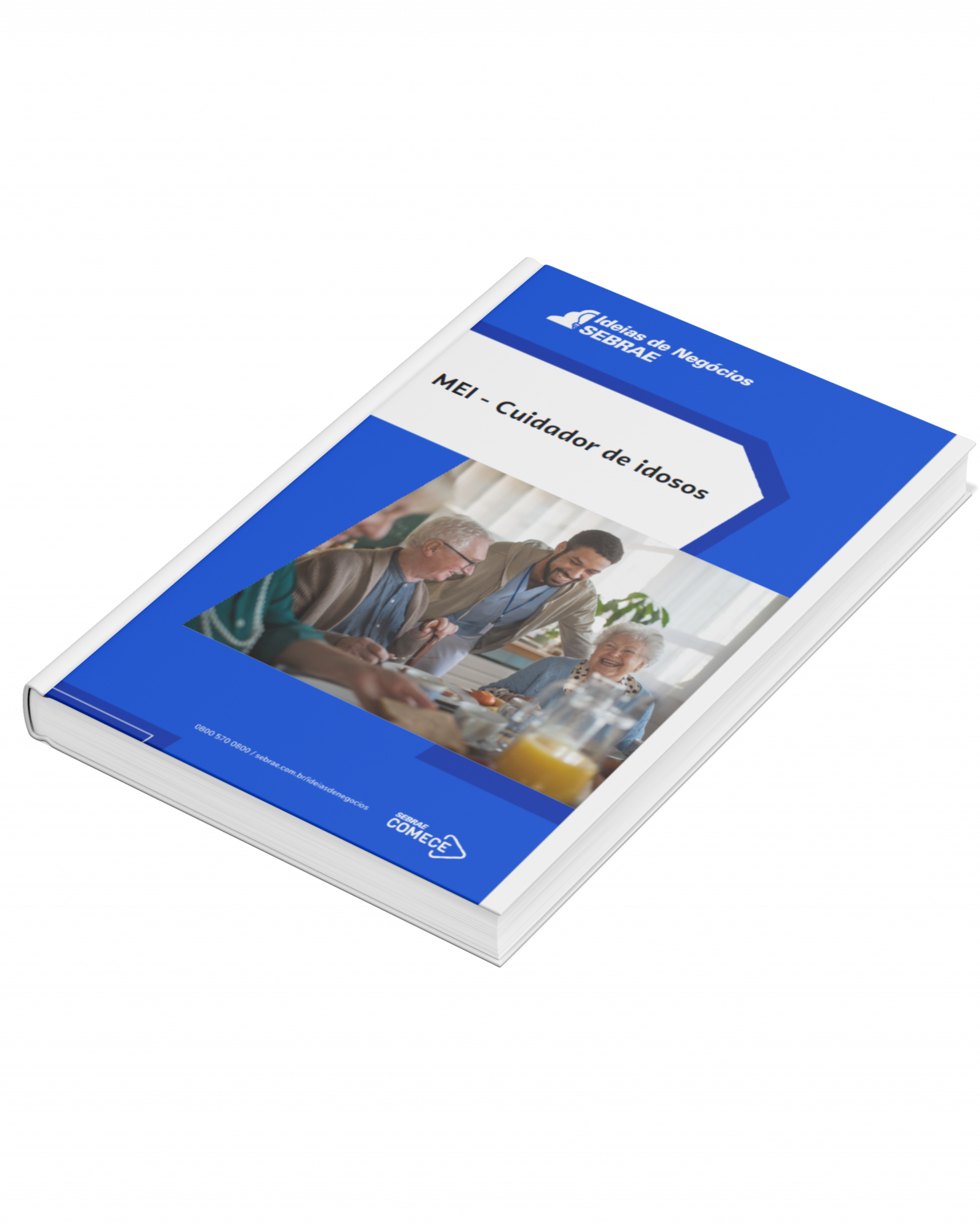 Sebrae/PR | Publicações | cuidador de idosos 10