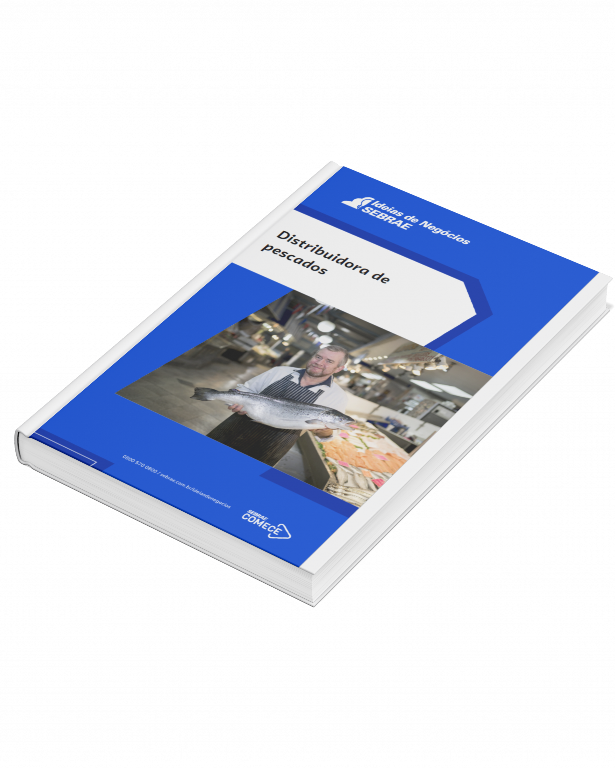 Sebrae/PR | Publicações | dist. peixes 37