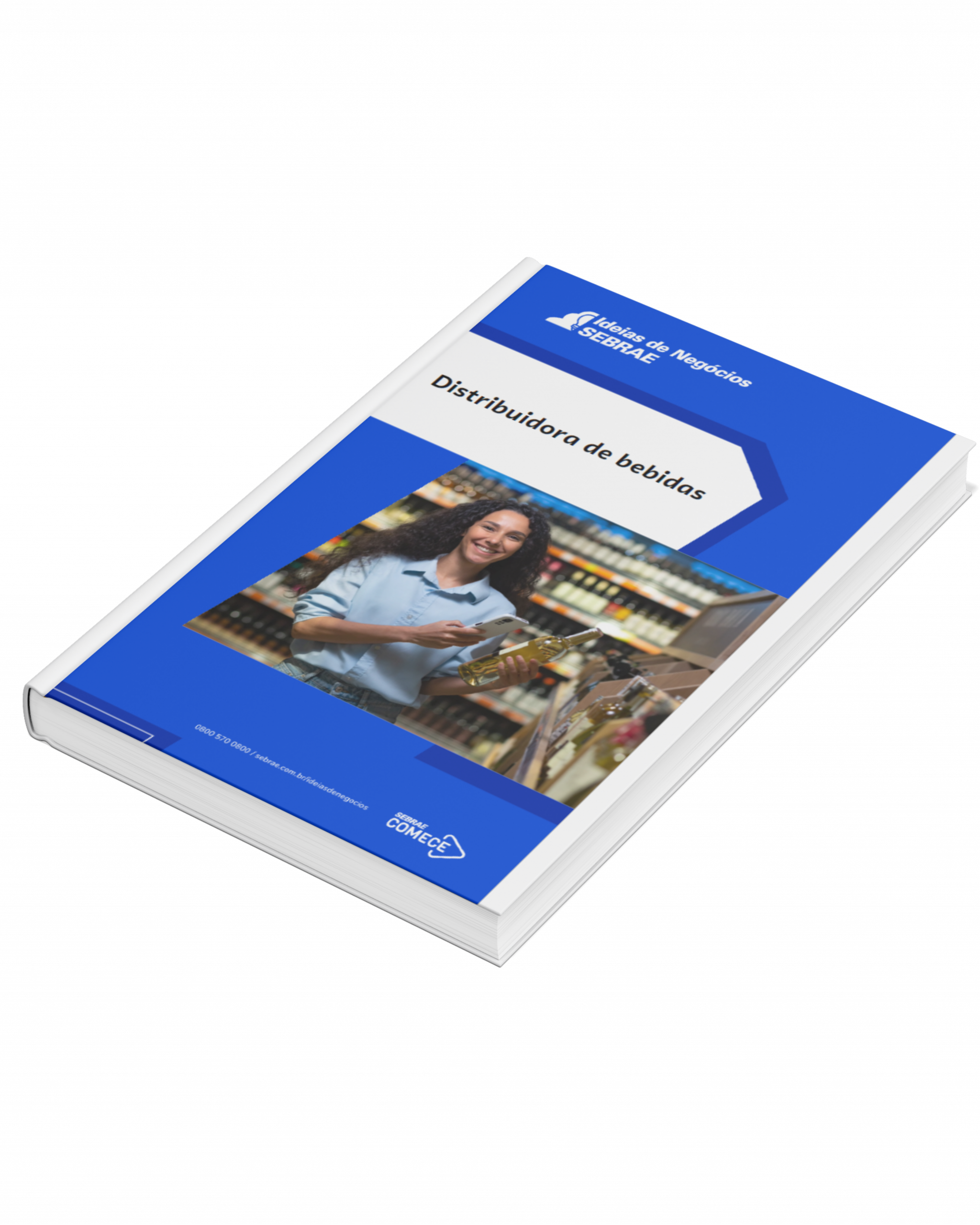 Sebrae/PR | Publicações | distribuidora de bebidas 21