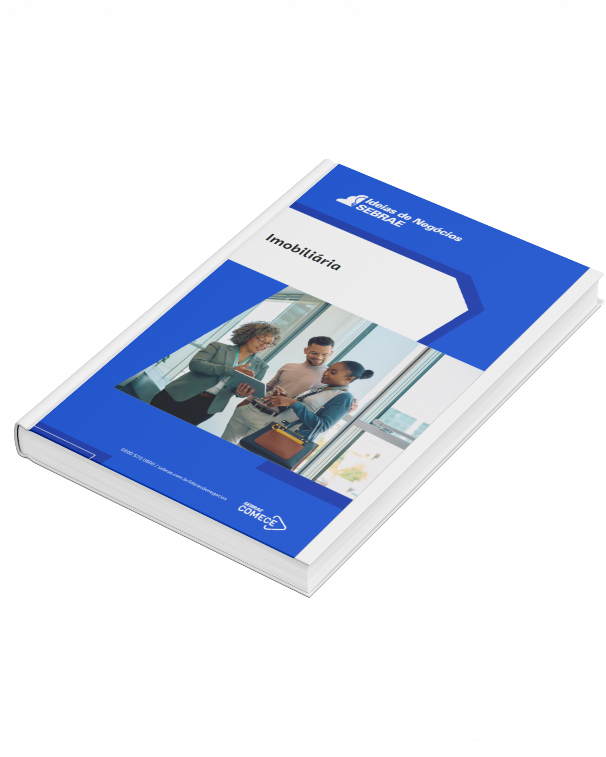 Sebrae/PR | Publicações | imobiliaria 19