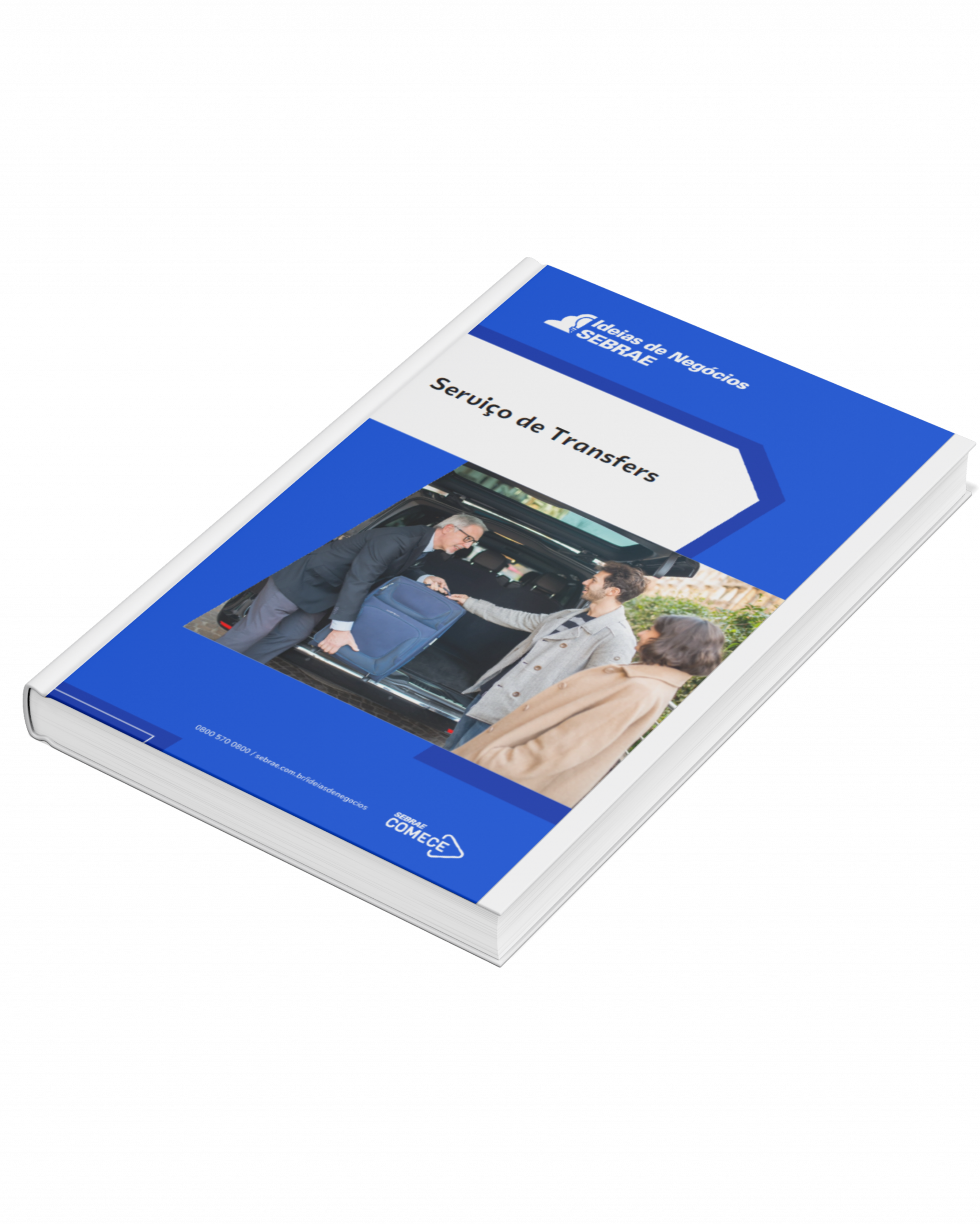 Sebrae/PR | Publicações | servicos de transfer 31