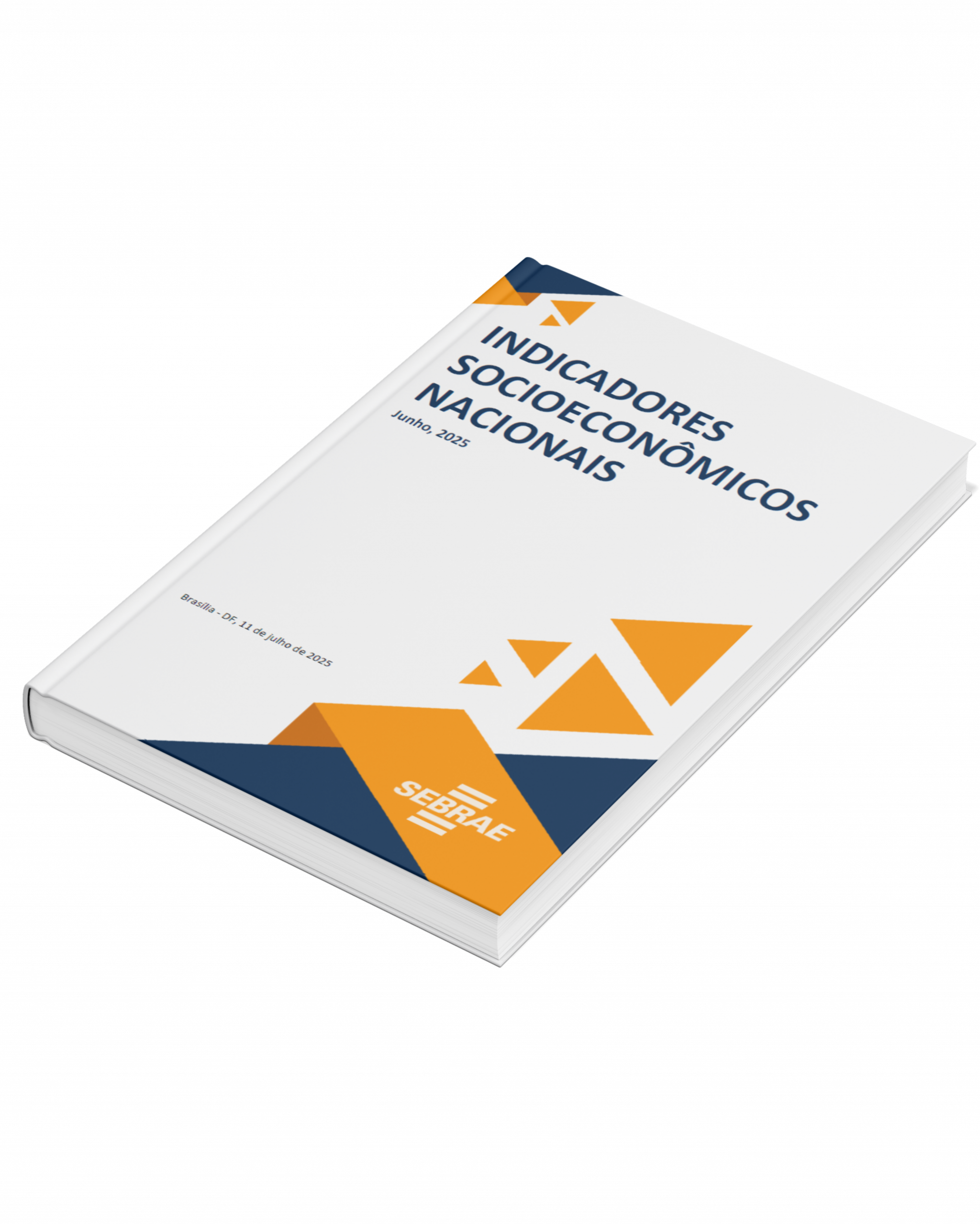 Sebrae/PR | Publicações | capa 15072025
