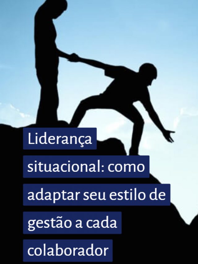 Liderança situacional: como adaptar seu estilo de gestão a cada colaborador