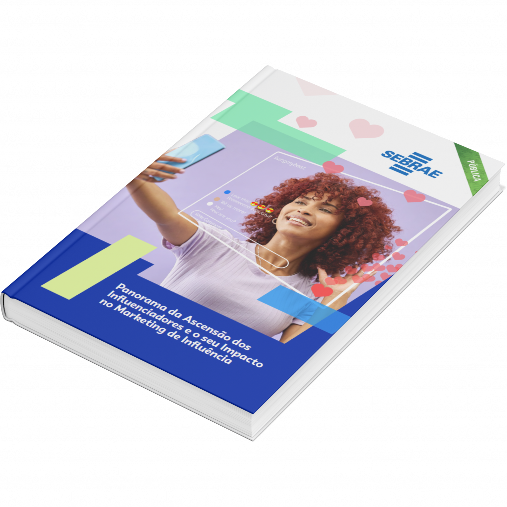 Sebrae/PR | Publicações | Capa influencerkkkded8 PARANA