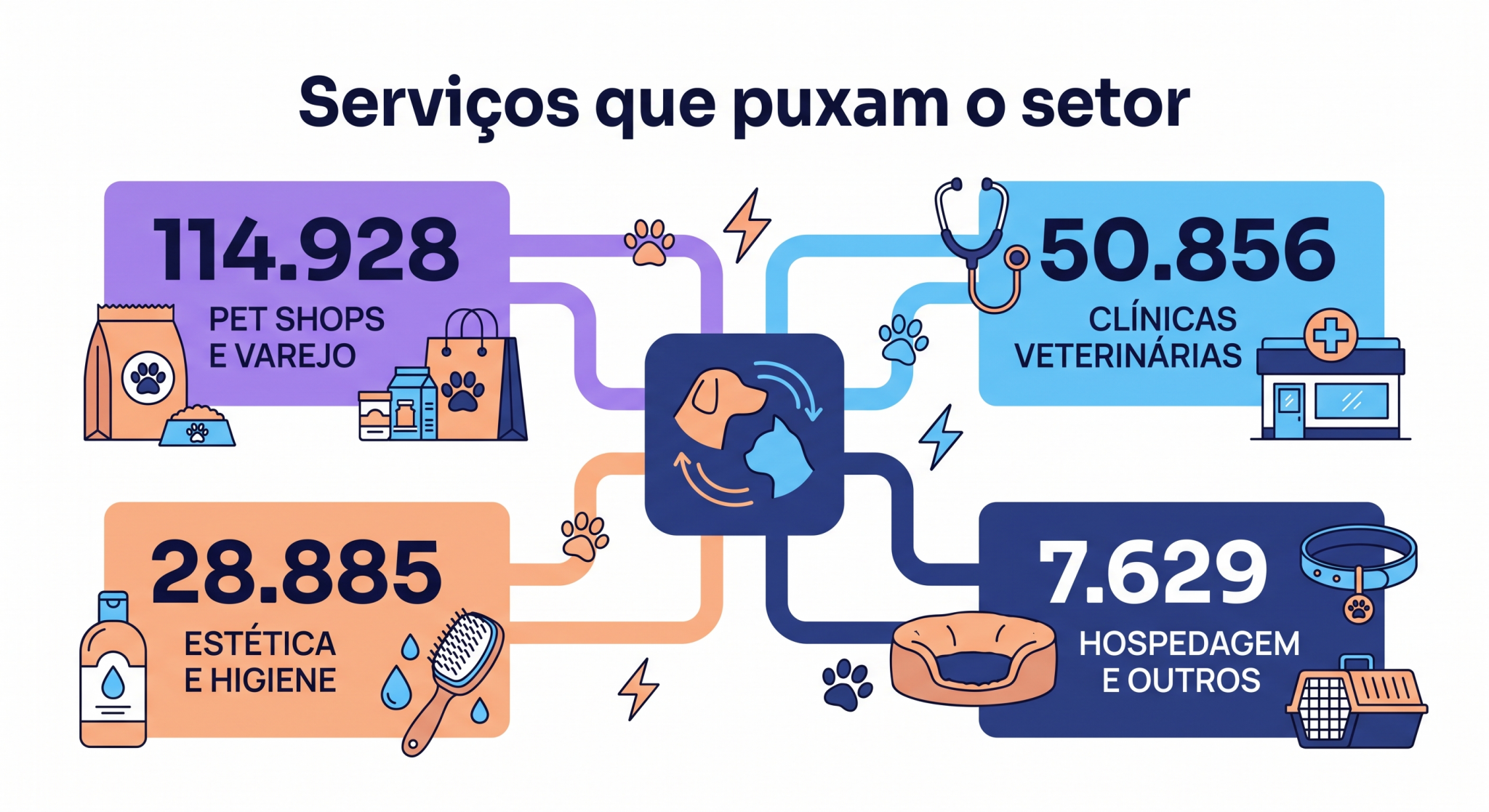 Infográfico que organiza as principais frentes de atuação do setor, como varejo, higiene, atividades veterinárias e alojamento, mostrando como os serviços pet se diversificaram.