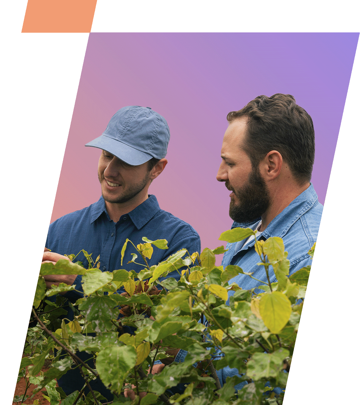 Sebrae/PR | Victor e João - Episódio 12 da 4ª Temporada | SEB Familia Fardo Banner sec 3 1