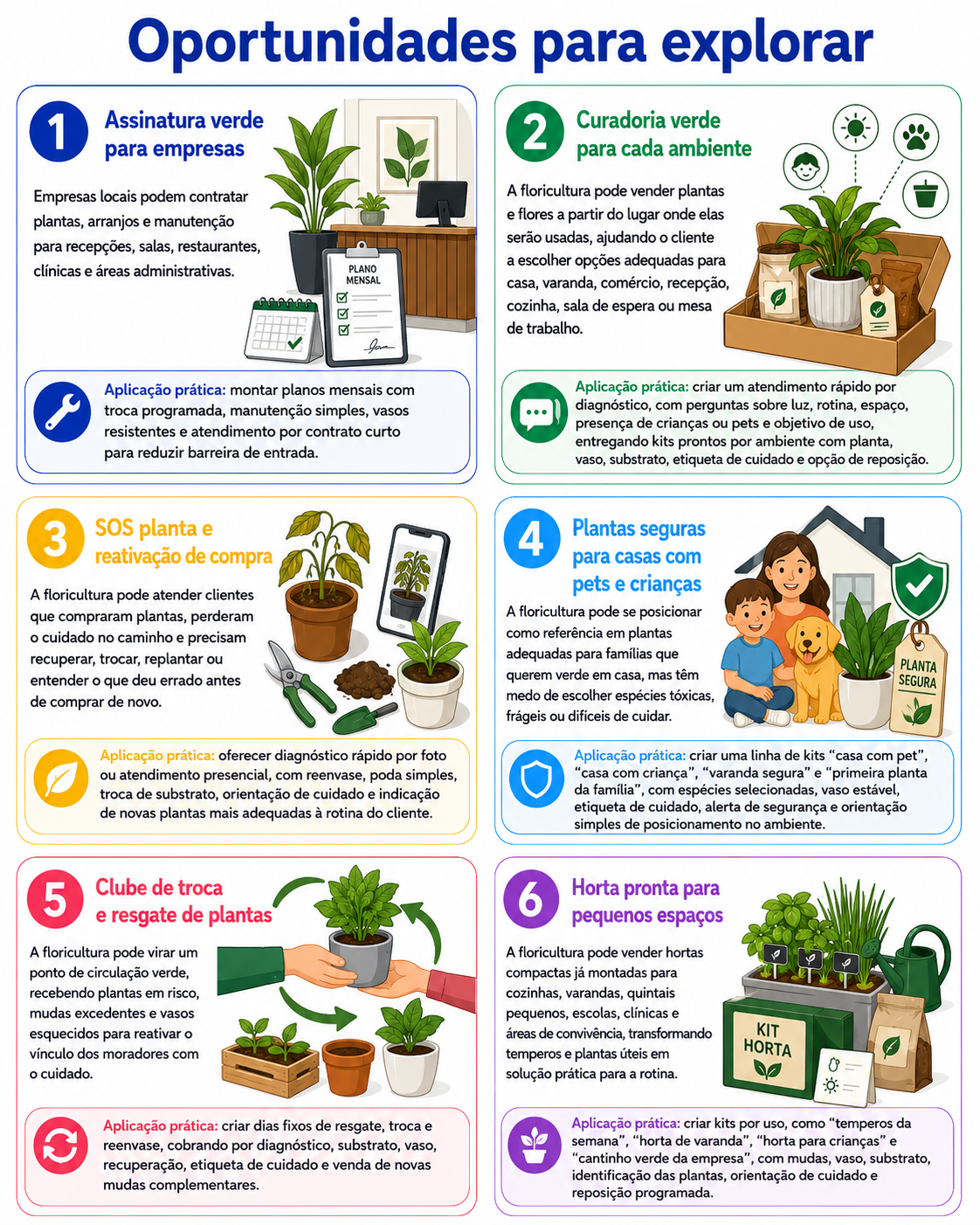 “Infográfico com seis oportunidades para abrir um negócio de plantas e flores em Rolândia, incluindo assinatura corporativa, presentes vivos, kits práticos, eventos, lembranças locais e garden sustentável.”