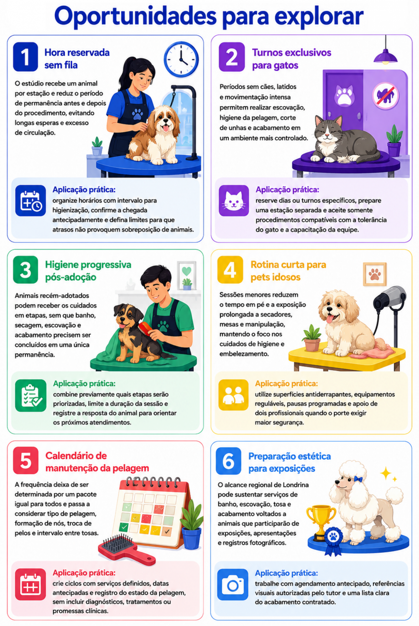 “Seis cards apresentam possibilidades de atendimento com hora reservada, turnos para gatos, higiene pós-adoção, cuidados para pets idosos, manutenção da pelagem e preparação para exposições.”