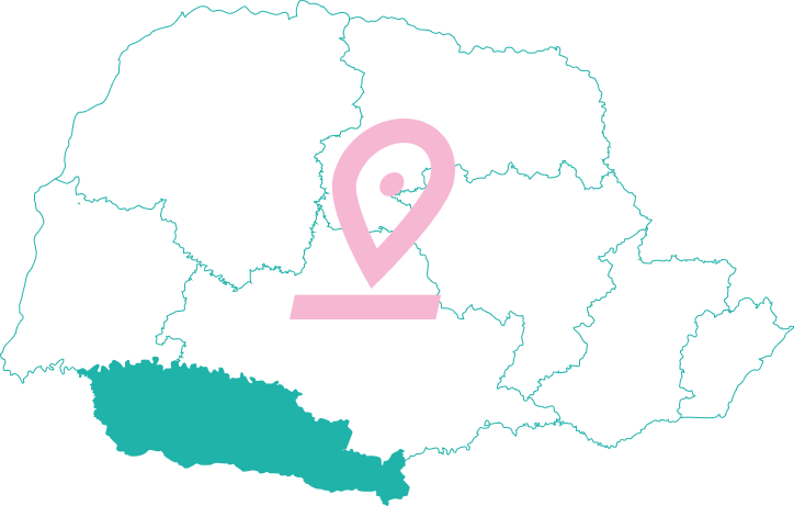 Sebrae/PR | Regional Sul | RegionalSul mapa