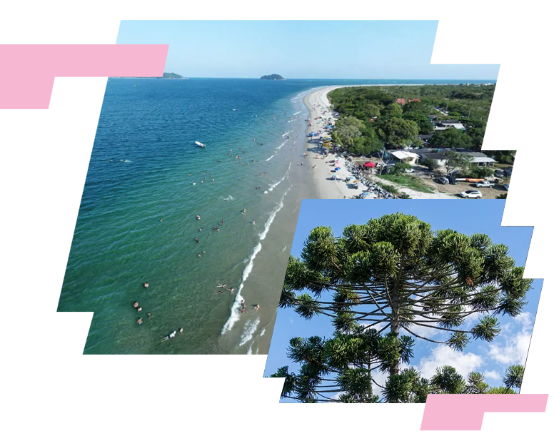Sebrae/PR | Regional Leste |