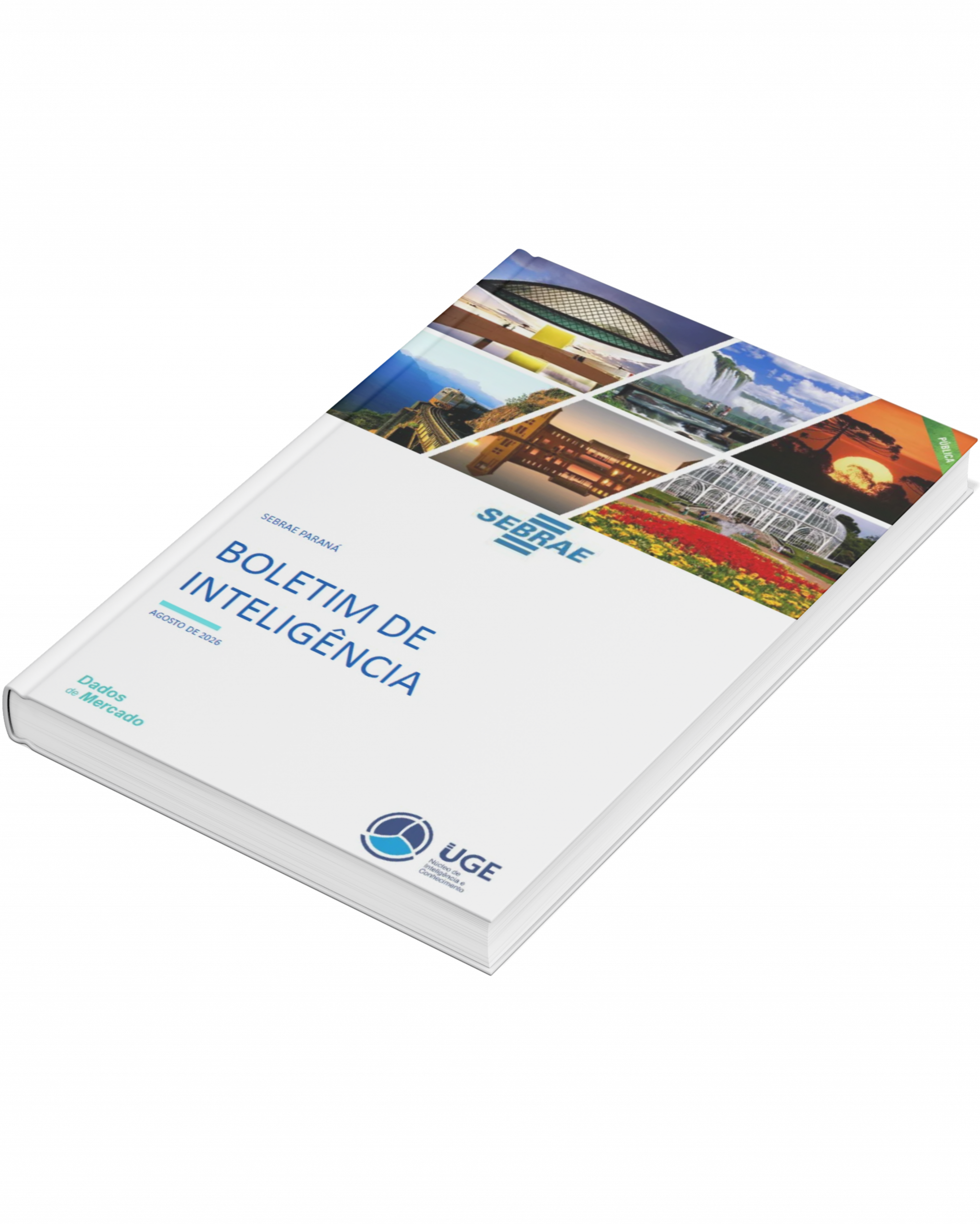 Sebrae/PR | Site Impulsiona |