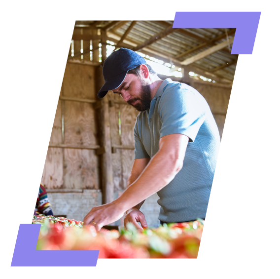 Sebrae/PR | Osni Baum - Baum Fruit - Episódio 8 da 5ª Temporada |